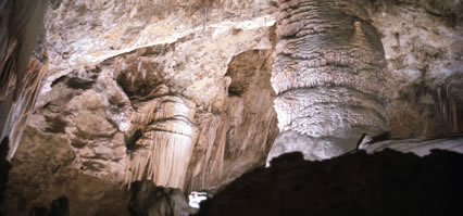 Carlsbad Caverns, N.M.